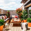 تراس و بالکن  Balcony / Terrace Decor